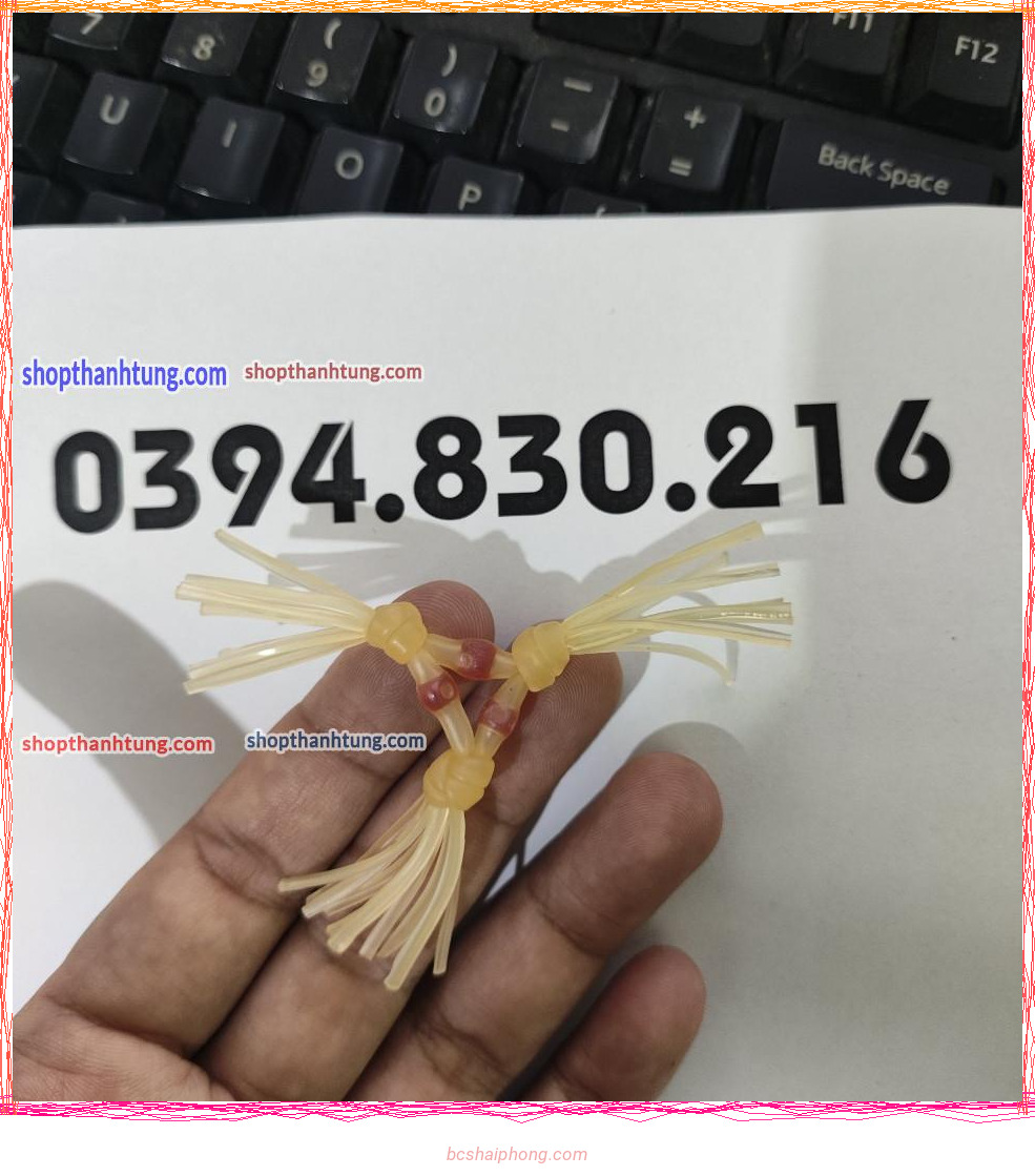 z4875030980982 b87e86560bc249cee2009cc4260058a2.jpg
