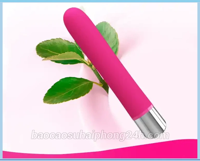 Que rung mini Hải Phòng